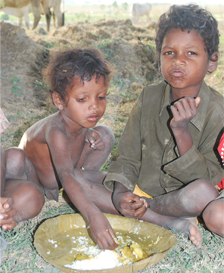 Nutritious Meal to Tribal Children